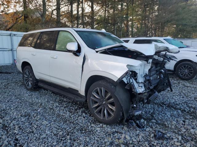 2023 CADILLAC ESCALADE S #3293362432