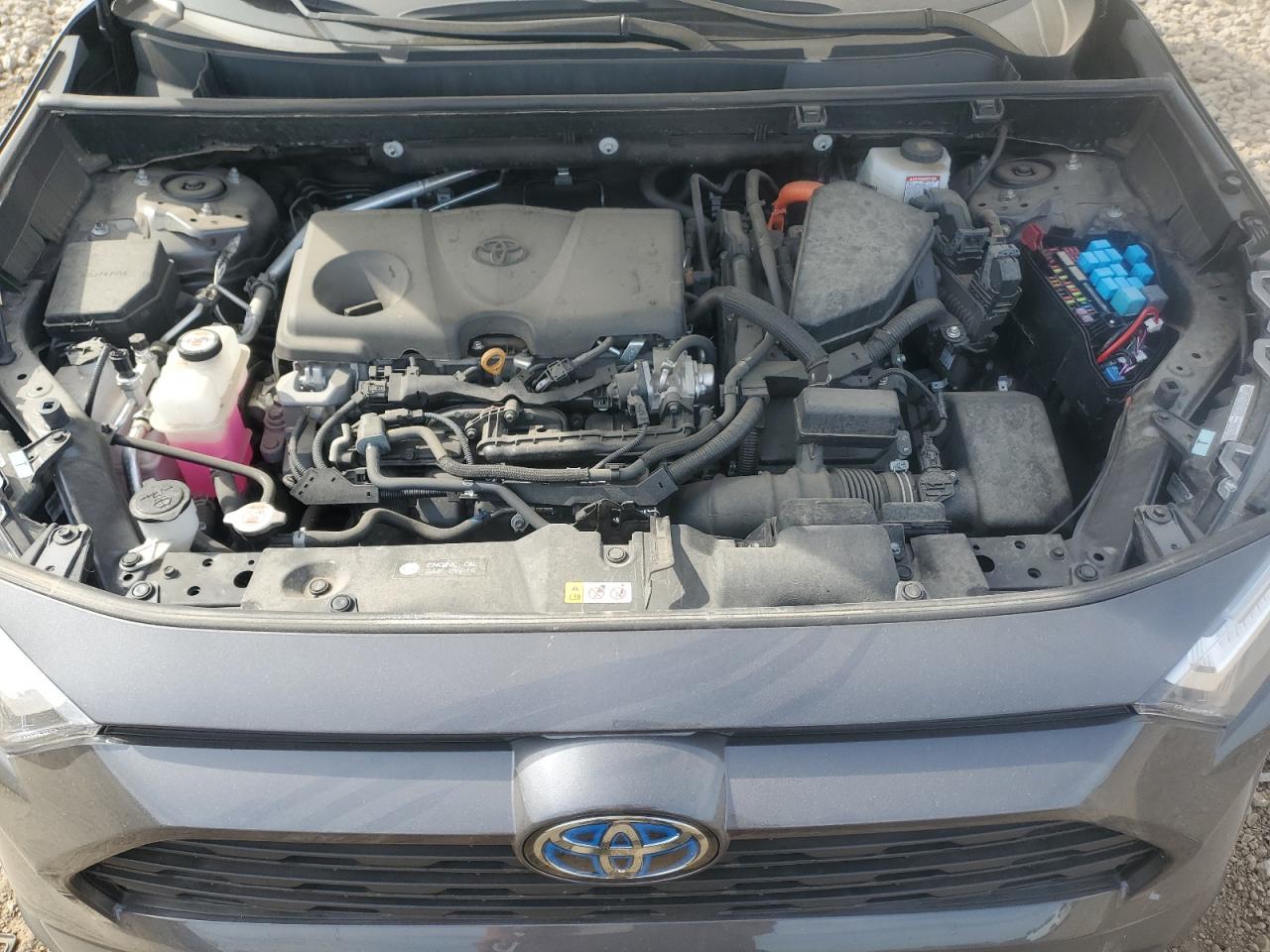 TOYOTA RAV4 XLE