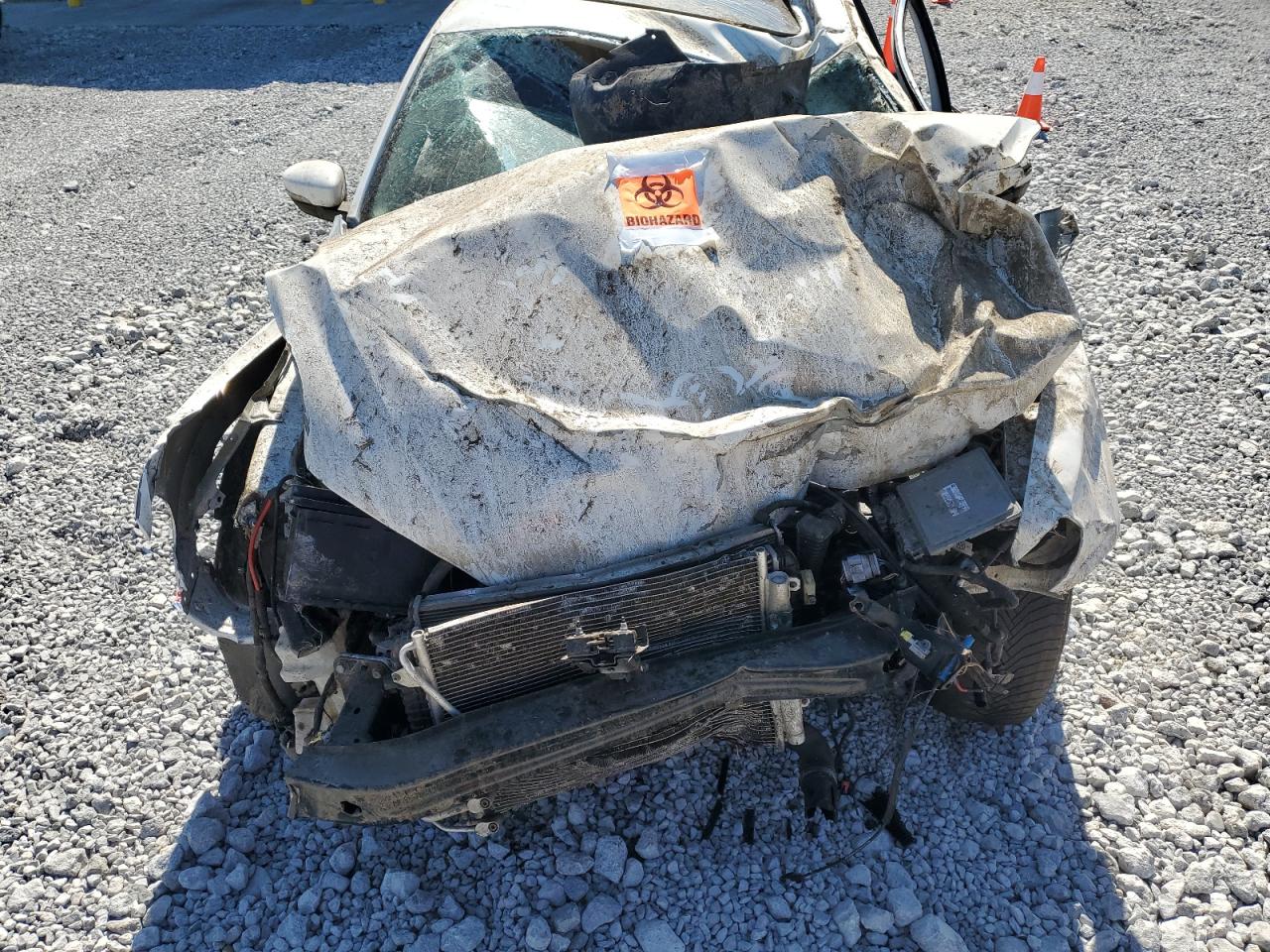 VOLKSWAGEN PASSAT SE