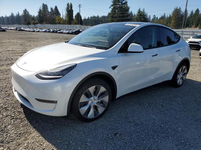 2021 TESLA MODEL Y #3291201990