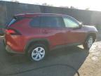 Lot #3309374992 2024 TOYOTA RAV4 LE