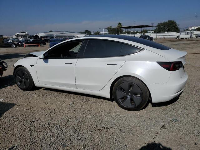2021 TESLA MODEL 3 #3296917830