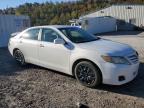 Lot #3293497409 2010 TOYOTA CAMRY BASE