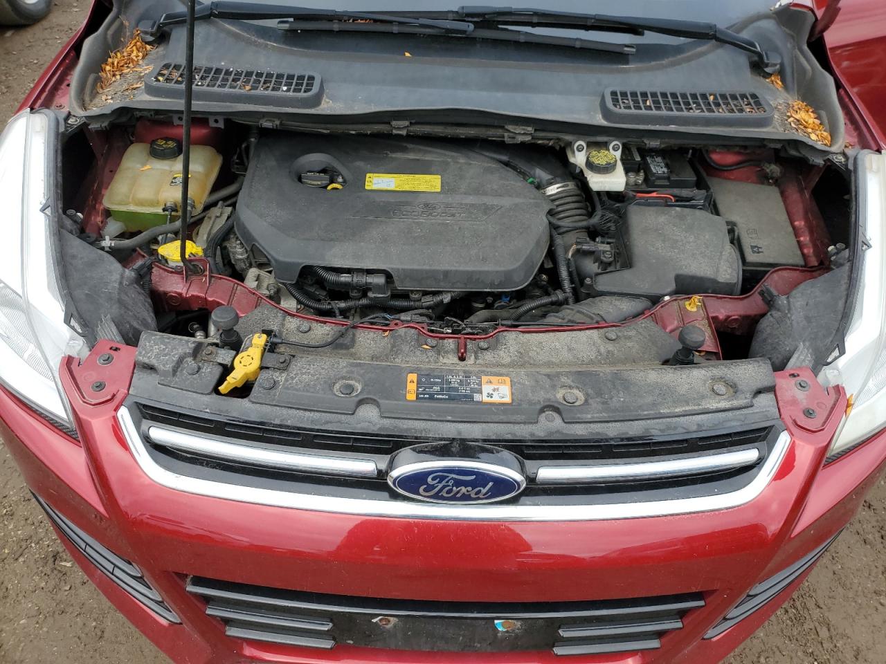 FORD ESCAPE SEL