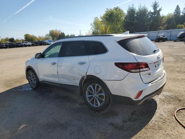 2019 HYUNDAI SANTA FE X - KM8SNDHF9KU296976