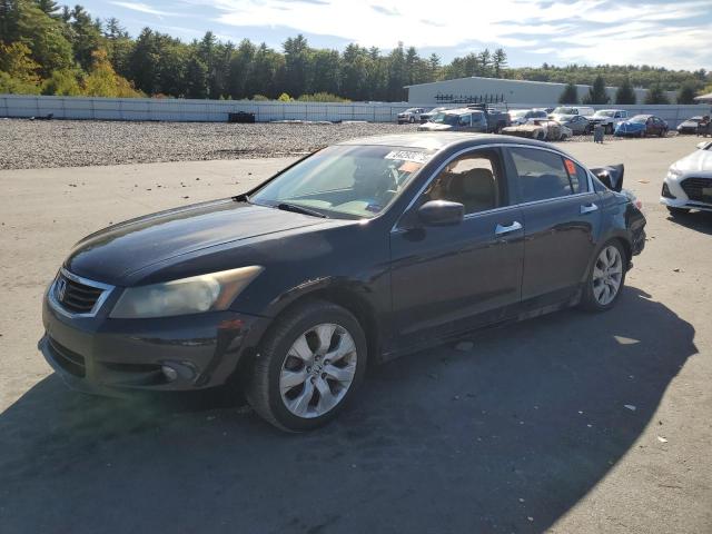 2010 HONDA ACCORD EXL - 1HGCP3F84AA007537