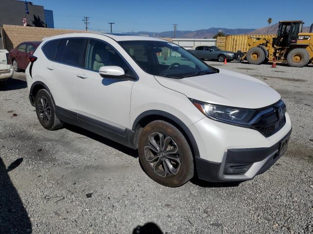 2020 HONDA CR-V EX - 5J6RW1H52LA013854