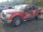 Lot #3305301392 2009 FORD F150 SUPER
