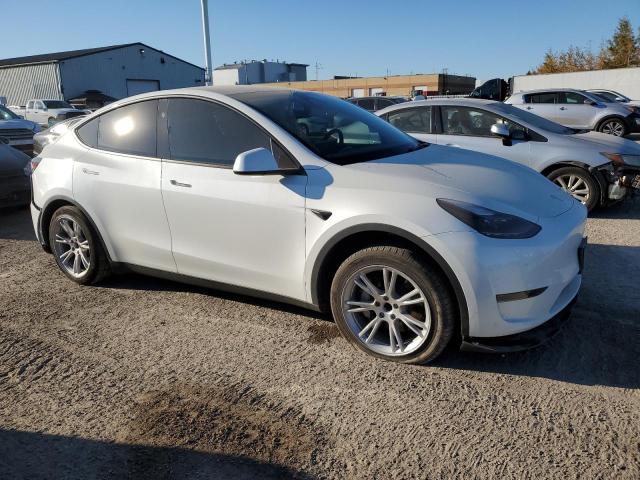 2024 TESLA MODEL Y 7SAYGDED4RF076727
