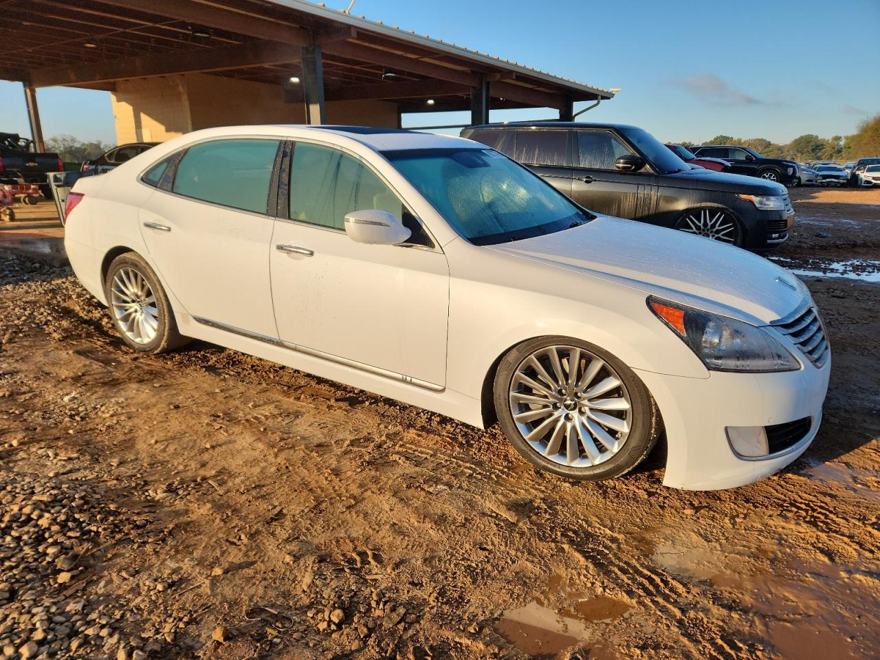 HYUNDAI EQUUS SIGNATURE