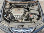 Lot #3316822407 2004 ACURA TSX