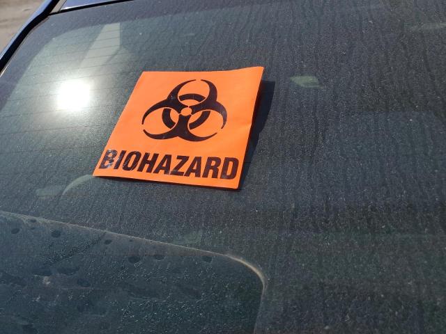 2019 HYUNDAI ELANTRA SEL - 5NPD84LF3KH483569