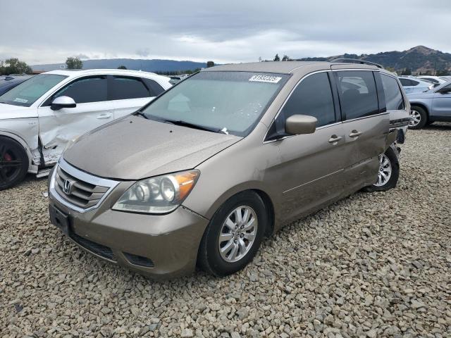 HONDA ODYSSEY EX