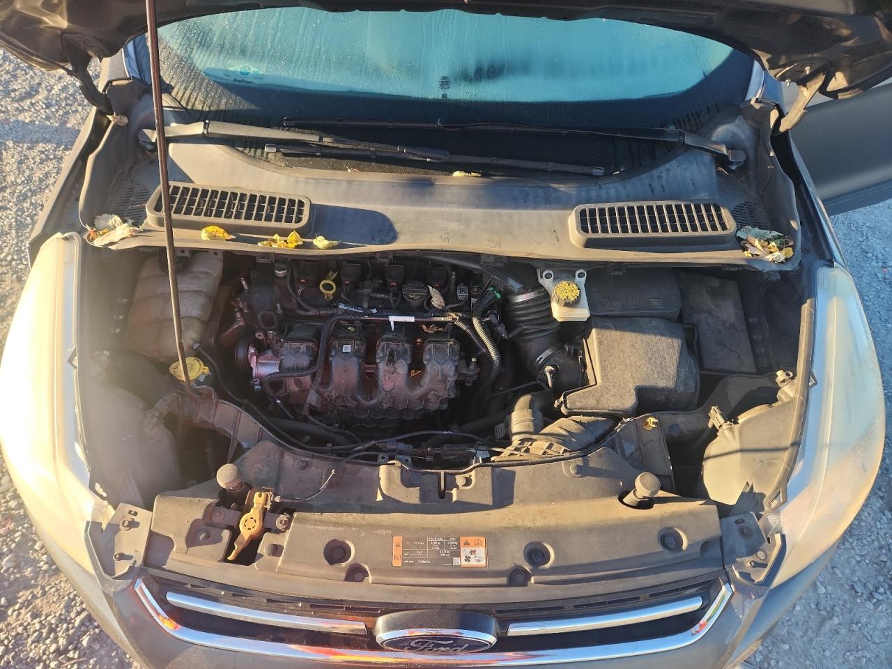 FORD ESCAPE TITANIUM