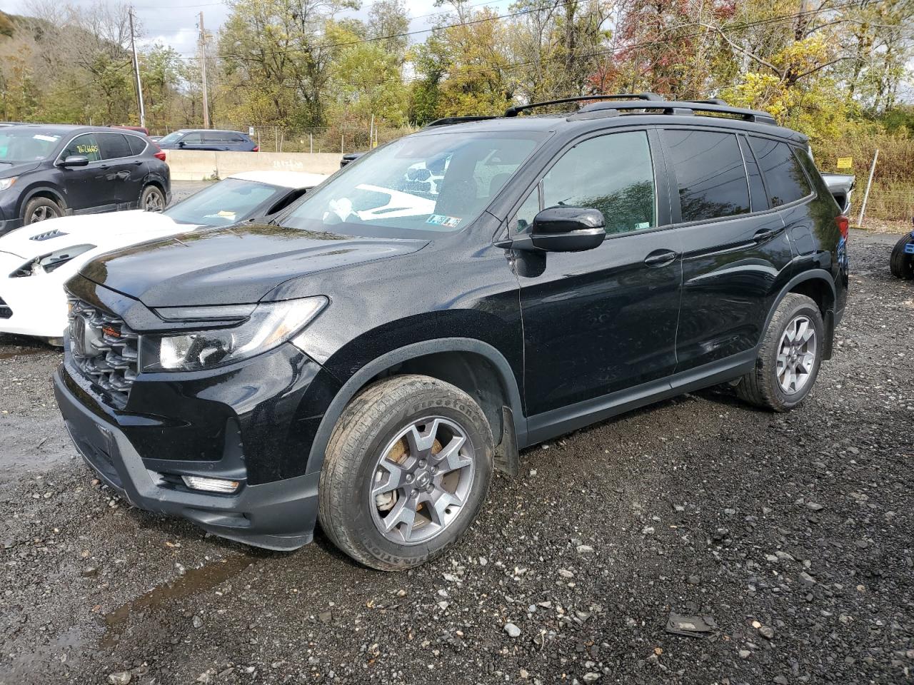 HONDA PASSPORT TRAIL SPORT