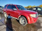 Lot #3293882592 2012 FORD ESCAPE XLT