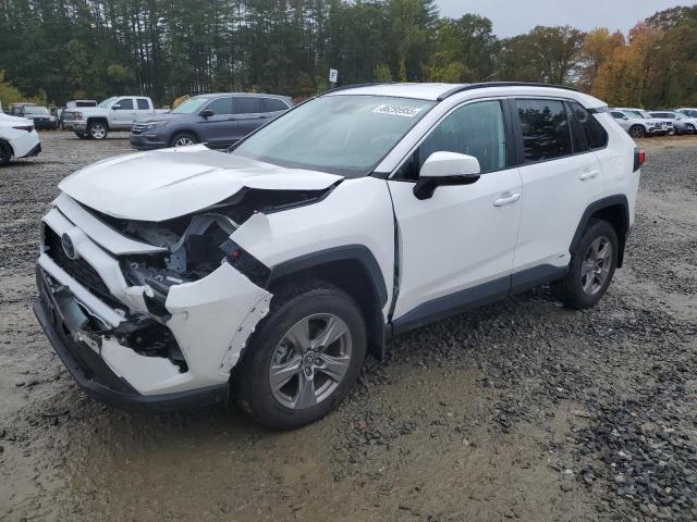 2024 TOYOTA RAV4 XLE #3304692903