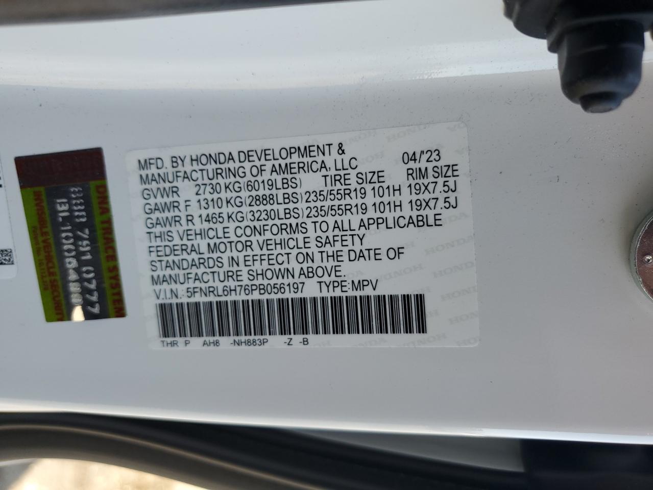 HONDA ODYSSEY SPORT-L