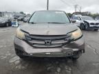 Lot #3296259443 2012 HONDA CR-V EX