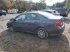 Lot #3305323316 2010 TOYOTA COROLLA BA