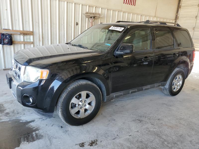 Global Auto Auctions: 2010 FORD ESCAPE LIM