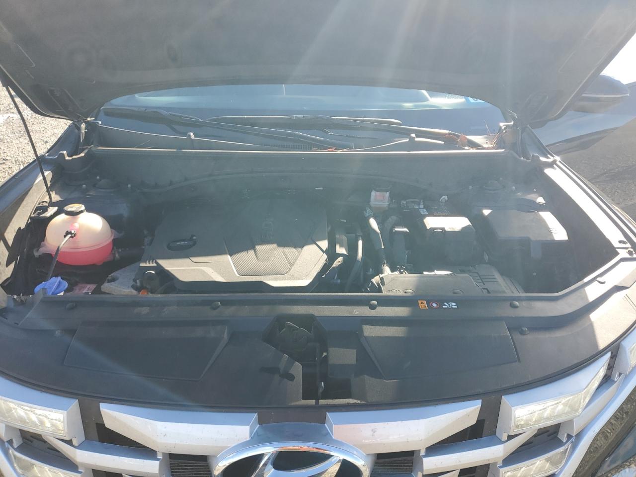 Lot #3309624079 2023 HYUNDAI SANTA CRUZ