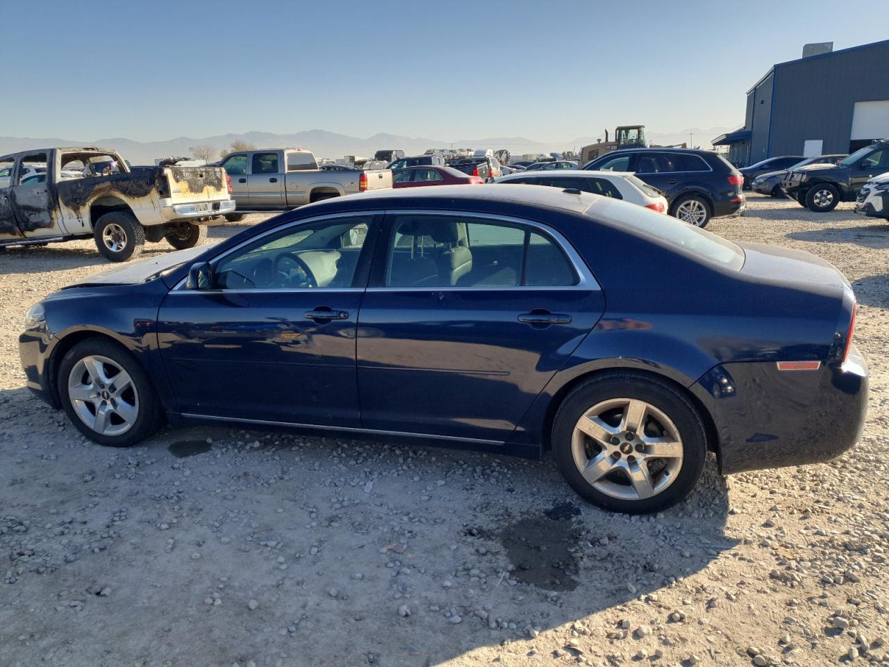 CHEVROLET MALIBU 1LT