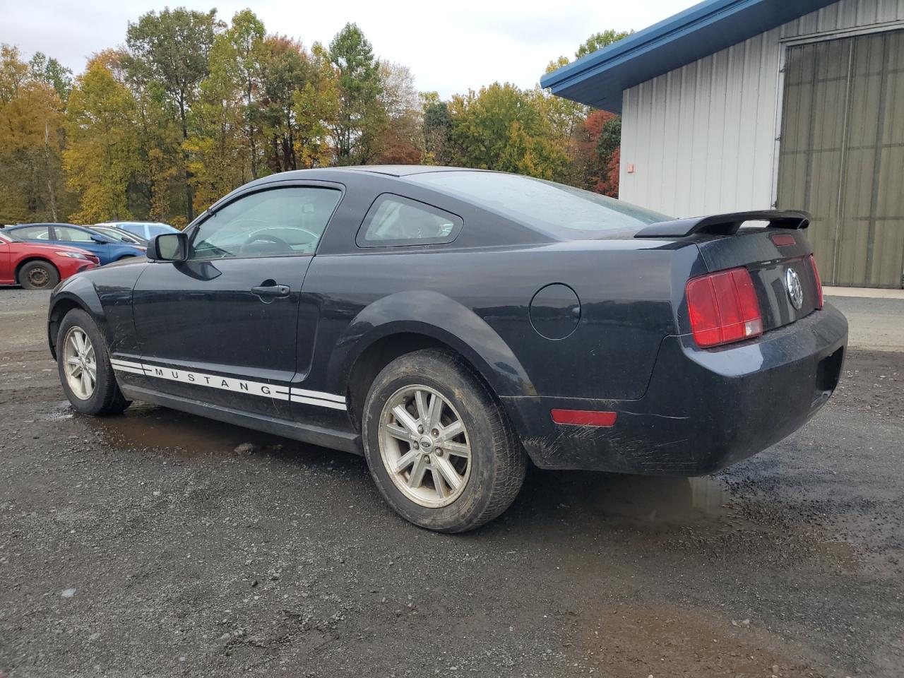 Lot #3264673865 2006 FORD MUSTANG