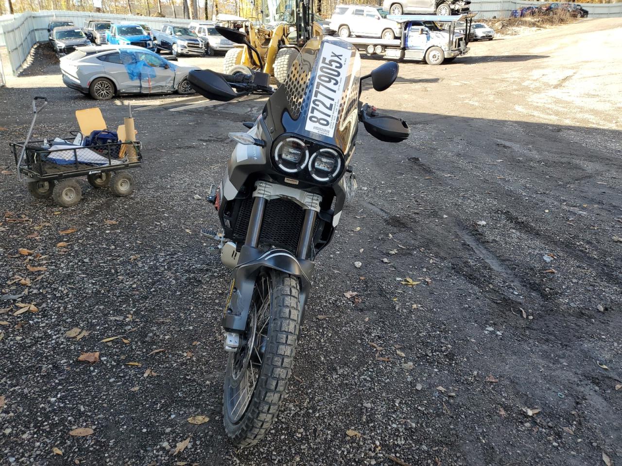 Lot #3291304451 2024 DUCATI DESERT X