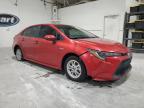 Lot #3305296309 2020 TOYOTA COROLLA LE