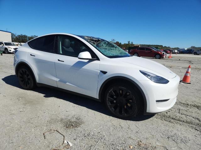 2021 TESLA MODEL Y #3281635399