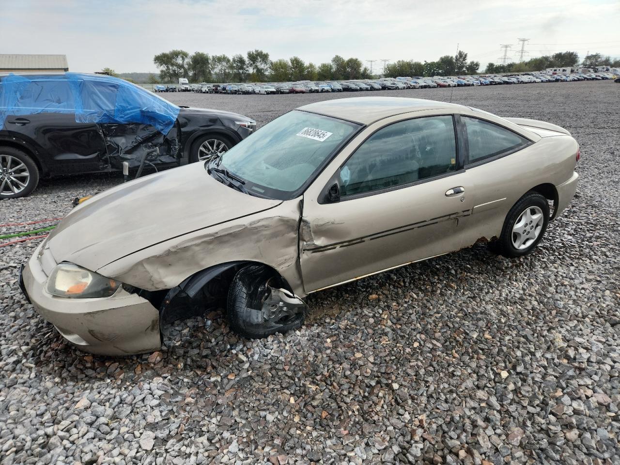 Lot #3287786101 2004 CHEVROLET CAVALIER