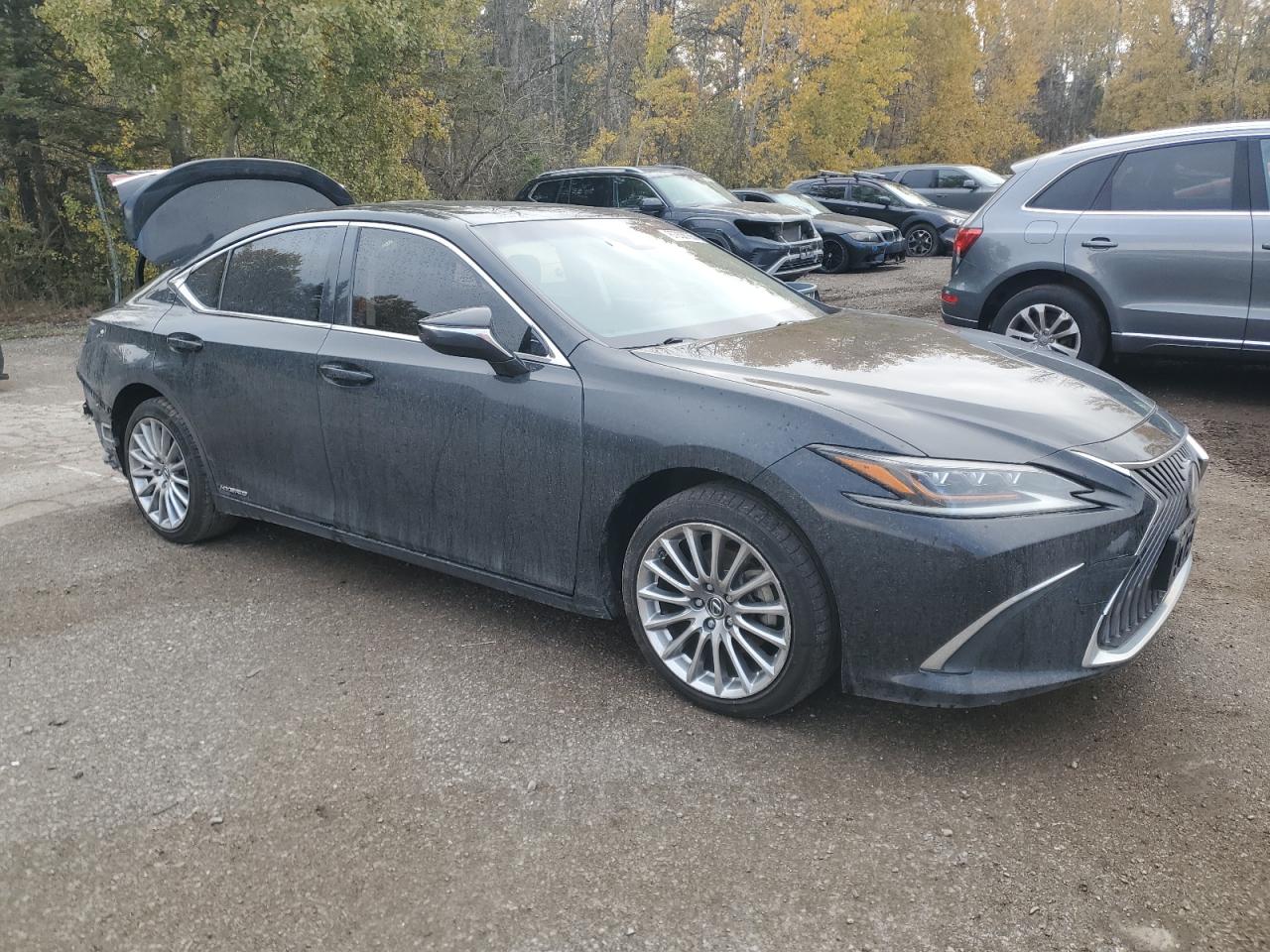 LEXUS ES 300H