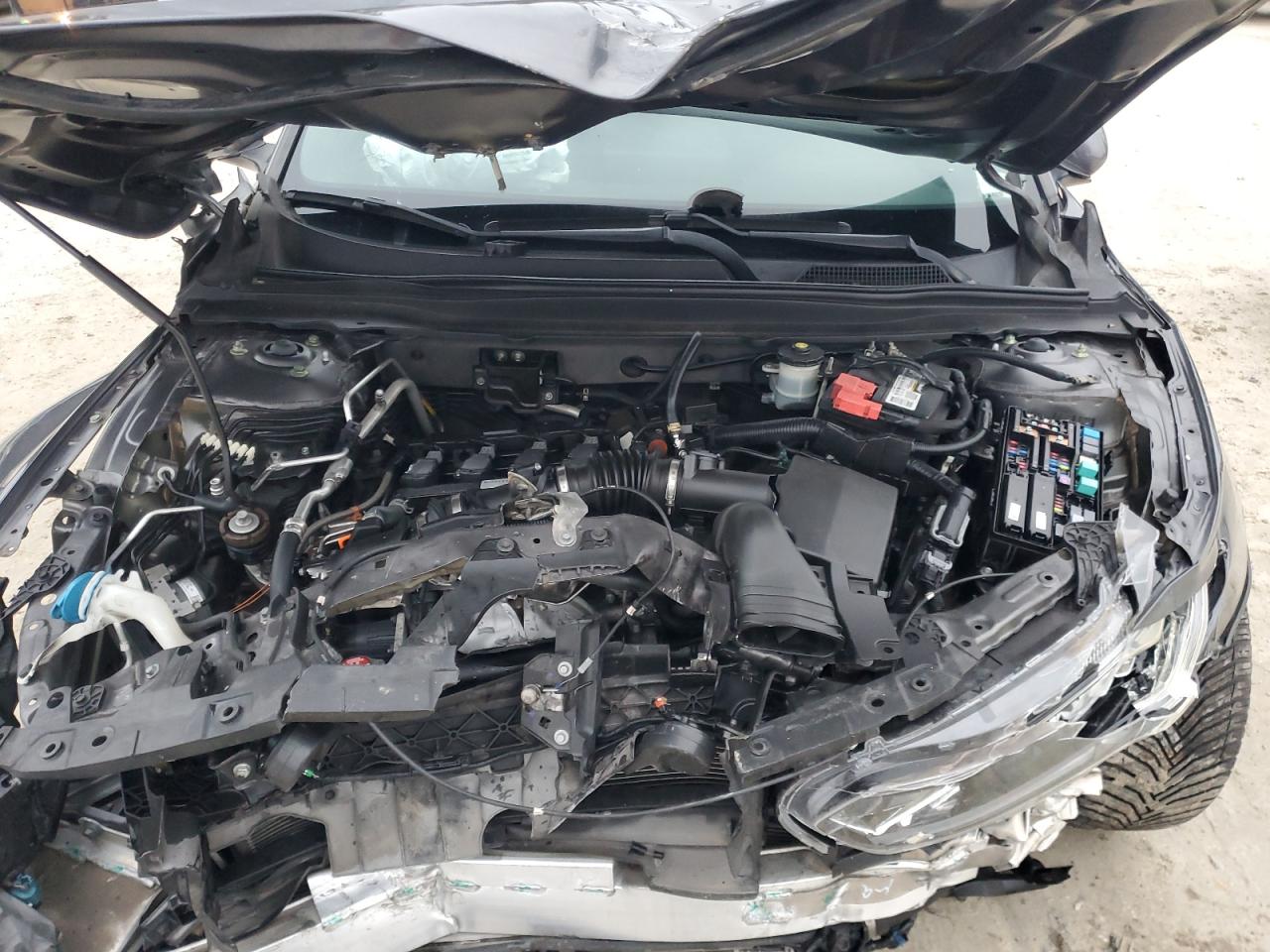 Lot #3302855929 2018 HONDA ACCORD SPO