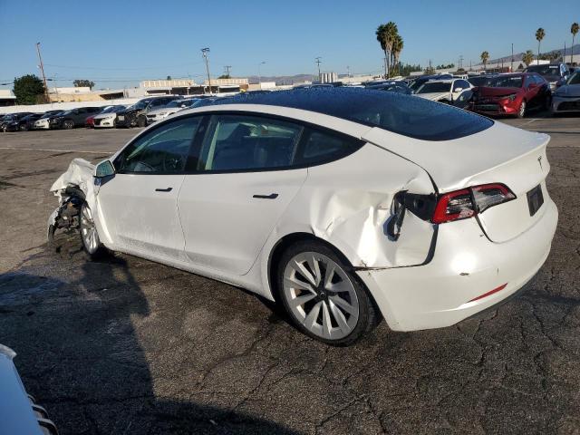 2023 TESLA MODEL 3 #3283798444