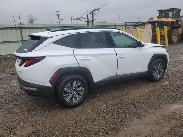 2024 HYUNDAI TUCSON BLU KM8JBCD13RU195077