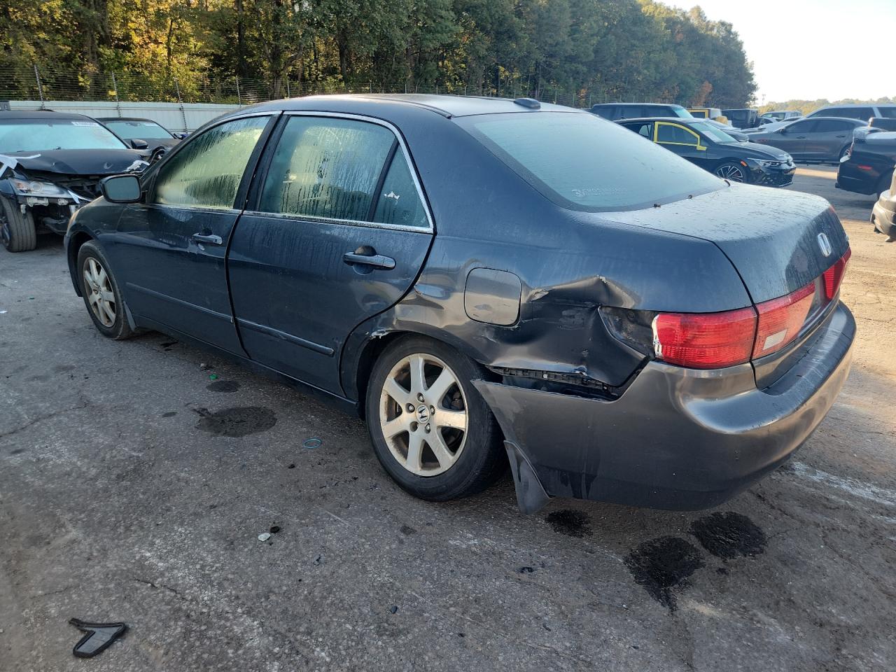 Lot #3279177381 2005 HONDA ACCORD EX