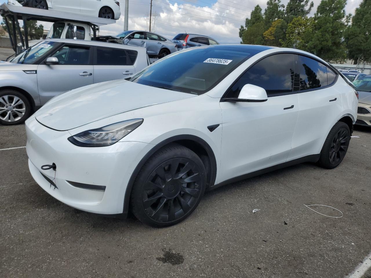 Lot #3308600502 2022 TESLA MODEL Y