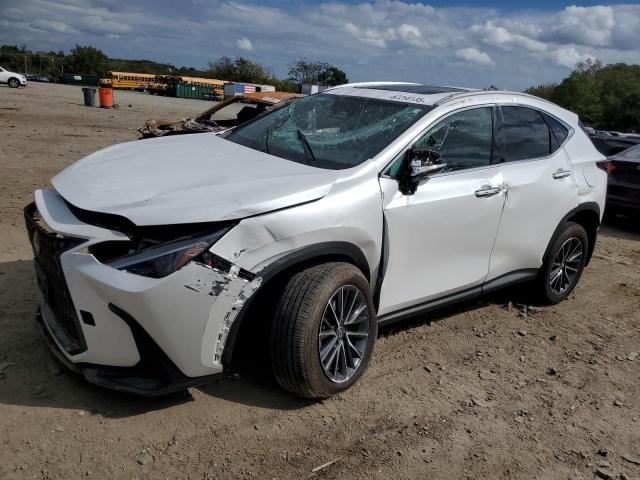 LEXUS NX 350 PREMIUM