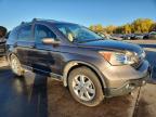 Lot #3301413395 2009 HONDA CR-V EXL