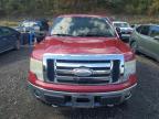 Lot #3305301392 2009 FORD F150 SUPER