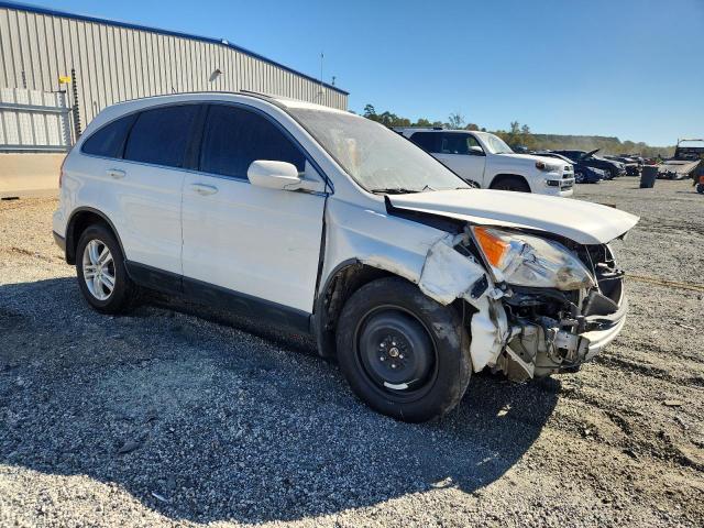 2010 HONDA CR-V EXL #3279579260