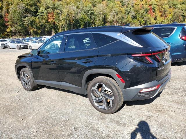 2024 HYUNDAI TUCSON LIM #3280282982