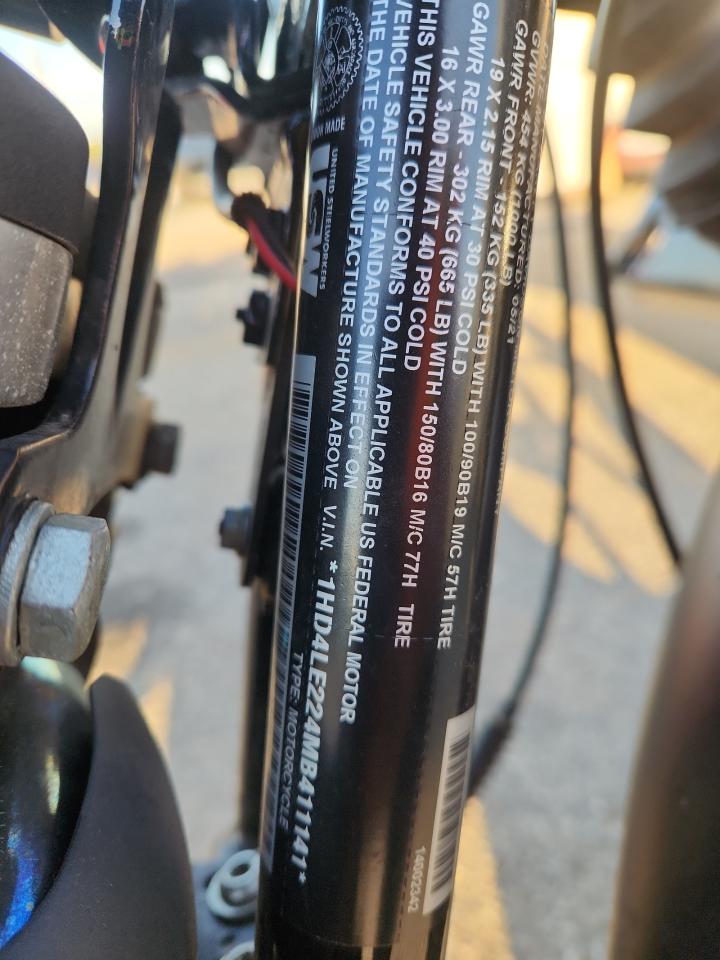 Lot #3304099493 2021 HARLEY-DAVIDSON XL883 N