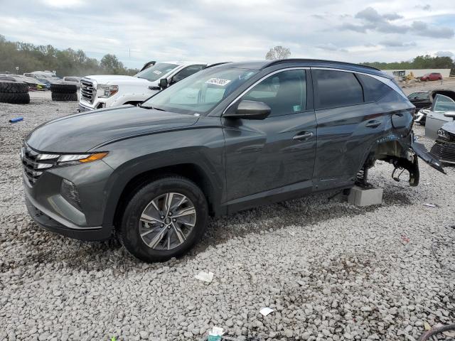 2024 HYUNDAI TUCSON BLU KM8JBCD16RU234759