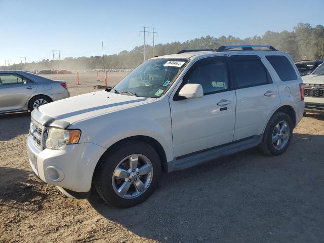 Global Auto Auctions: 2011 FORD ESCAPE LIM