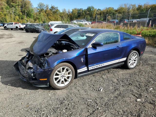 2010 FORD MUSTANG - 1ZVBP8AN6A5180129