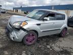 Lot #3303754432 2011 KIA SOUL +