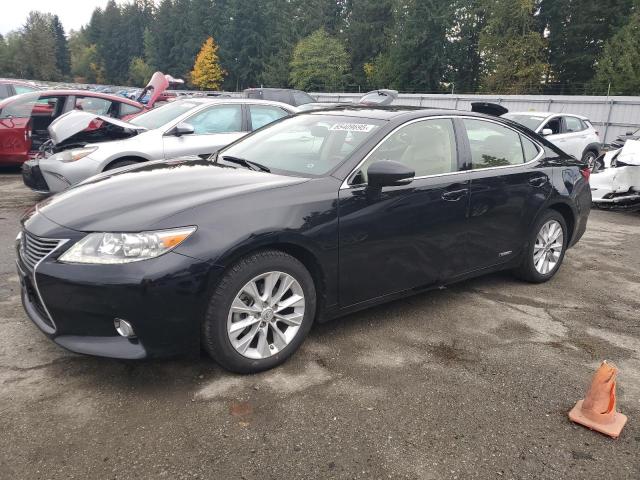 LEXUS ES 300H