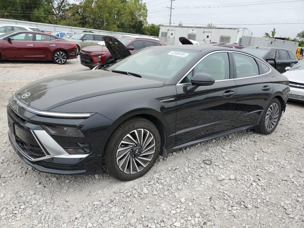 Lot #3308368290 2025 HYUNDAI SONATA HYB